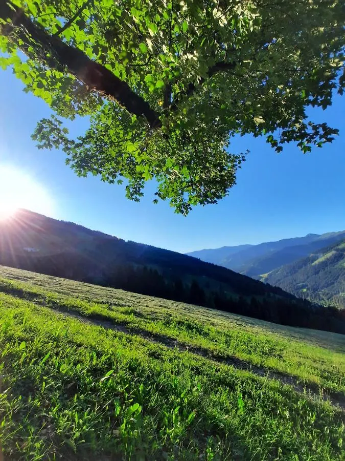 Pension Aberger Saalbach-Hinterglemm